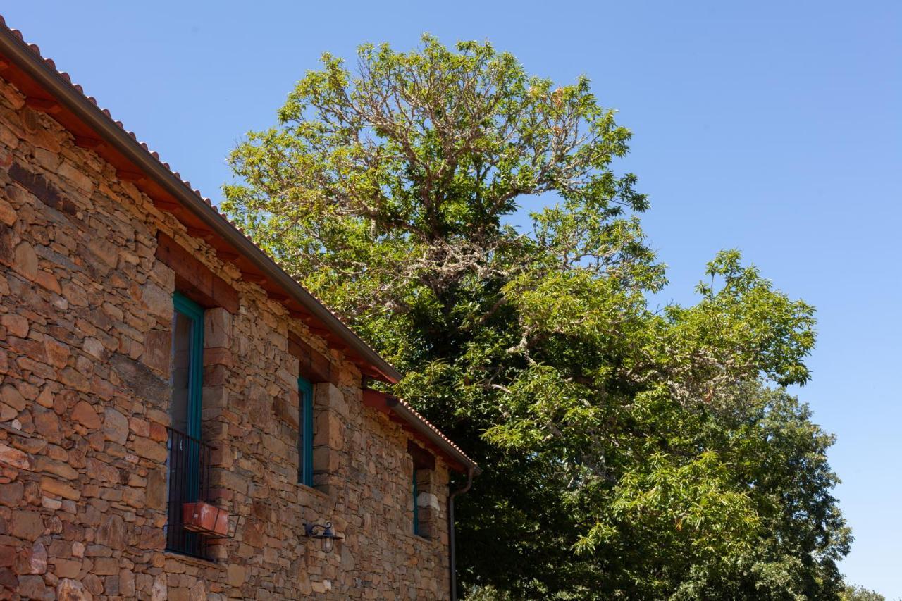 Hostal Casa Terra Alma Laza Exterior foto